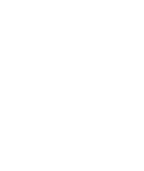 Bellingham Community Acupuncture logo-transparent